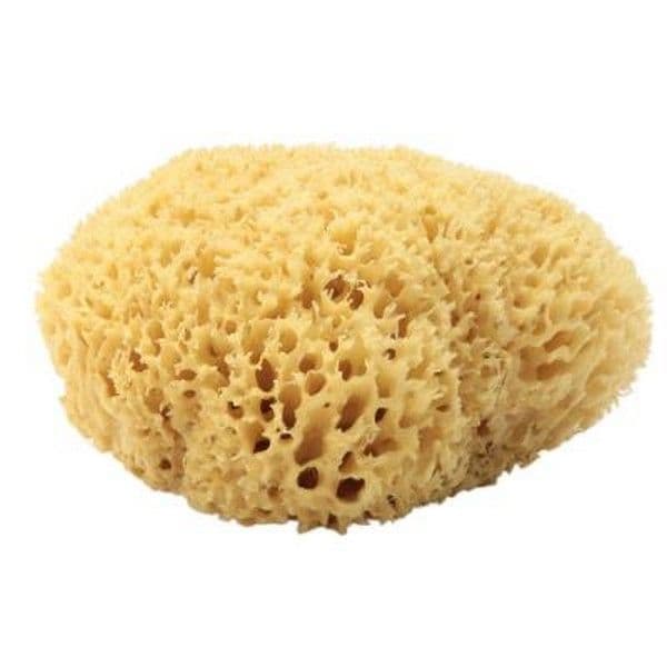 Suavinex Natural Sponge