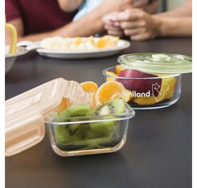 Σετ γυάλινα φαγητοδοχεία Miniland Natur Square Bunny 160 ml 4τμχ στο Bebe Maison