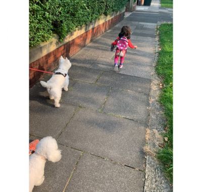 Παιδικό κολάν Blade & Rose Llama στο Bebe Maison