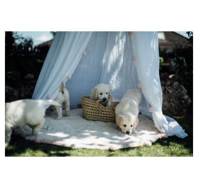 Παιδικό χαλί Lorena Canals Bubbly vintage nude 120εκ. διάμετρος στο Bebe Maison