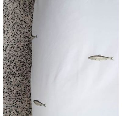 Σετ παπλωματοθήκης Snurk Φίλοι του Αρκτικού Κύκλου 140 x 200 στο Bebe Maison