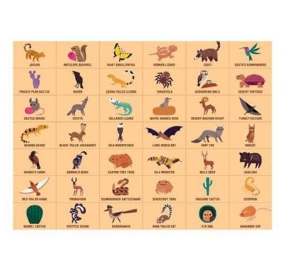 Παζλ Search & Find Mudpuppy Έρημος στο Bebe Maison