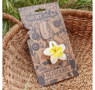 Μασητικό Chewy από φυσικό καουκτσούκ Olie & Carol Hawai the Flower στο Bebe Maison