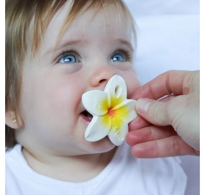 Μασητικό Chewy από φυσικό καουκτσούκ Olie & Carol Hawai the Flower στο Bebe Maison