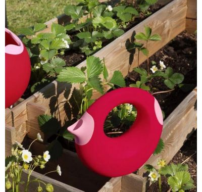 Ποτιστήρι 1L Quut ροζ-κόκκινο στο Bebe Maison