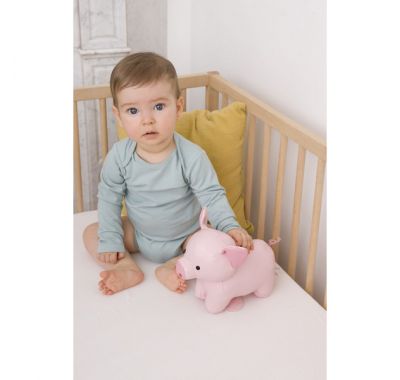 Μουσικό παιχνίδι Baby to Love Λεόν το γουρουνάκι στο Bebe Maison