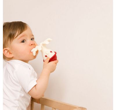 Μασητικό 3D Baby to Love χταπόδι pink στο Bebe Maison