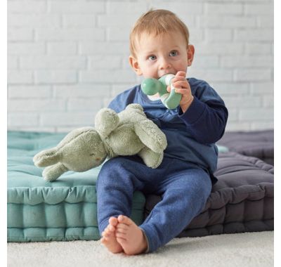 Λούτρινο λαγουδάκι Nattou Tipidou πράσινο στο Bebe Maison