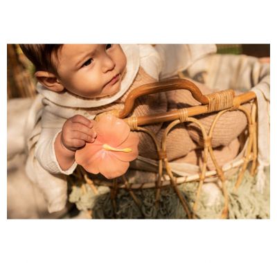 Μασητικό Olie & Carol  από φυσικό καουτσούκ Iris ο ροζ ιβίσκος στο Bebe Maison