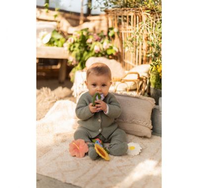 Μασητικό Olie & Carol  από φυσικό καουτσούκ Cindy the bellflower στο Bebe Maison