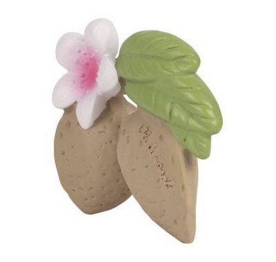 Μασητικό Oli & Carol από φυσικό καουτσούκ Aly το αμύγδαλο στο Bebe Maison