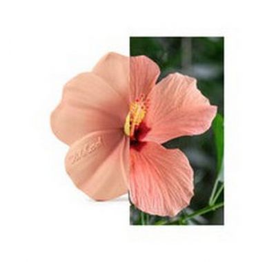 Μασητικό Olie & Carol  από φυσικό καουτσούκ Iris ο ροζ ιβίσκος στο Bebe Maison