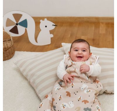 Χειμερινός υπνόσακος Tender marble 2.5 tog Squirrel Nude στο Bebe Maison