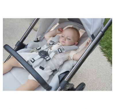 Πολυκαρότσι 2 σε 1 Inglesina Aptica Duo Velvet Grey με σκελετό Palladio Black στο Bebe Maison