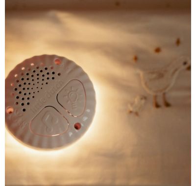 Υφασμάτινη χήνα 23εκ Little Dutch με φωτισμό, λευκούς ήχους & μουσική - επαναφορτιζόμενη στο Bebe Maison