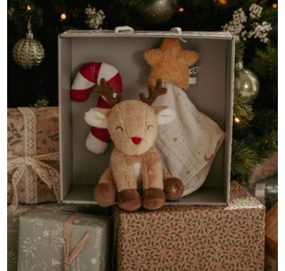 Χριστουγεννιάτικο σετ δώρου Little Dutch στο Bebe Maison