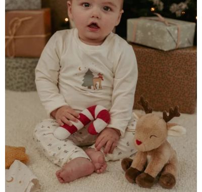 Χριστουγεννιάτικο σετ δώρου Little Dutch στο Bebe Maison