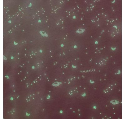 Ντουντού Nattou που φωσφορίζει στο σκοτάδι Lapidou Ροζ στο Bebe Maison