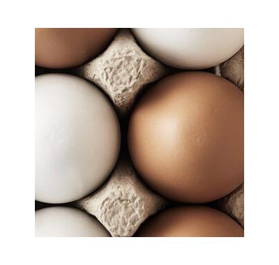 Σετ 6 ξύλινα αυγάKids Concept στο Bebe Maison