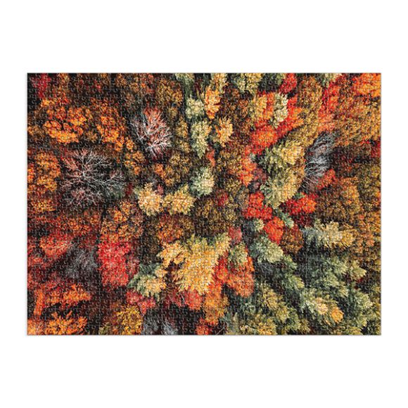 Παζλ Good Puzzle Company 1000 κομματιών autumn forest στο Bebe Maison