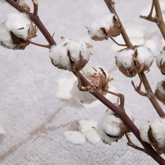 Παιδικό χαλί Lorena Canals Cotton Bolls 120x170 στο Bebe Maison