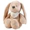 Nattou plush bunny with light, white sounds and Sleepy brown melodies στο Bebe Maison