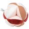 Υφασμάτινη μπάλα Nattou Lapidou με ήχους και χειρολαβές ροζ κεραμιδί στο Bebe Maison