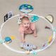 Βρεφικό παιχνίδι δραστηριοτήτων Taf Toys All Around Me Activity Hoop στο Bebe Maison