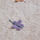 Χαλί δωματίου Lorena Canals Wildflowers 120 x 160 εκ. στο Bebe Maison