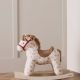 Κουνιστό αλογάκι Kids Concept Dotty Aiden στο Bebe Maison