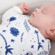 Gro Snug 2 σε 1 Πάνα αγκαλιάς και υπνόσακος νεογέννητου Light Night Fall - Rob Ryan στο Bebe Maison