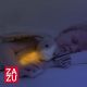 Zazu Bo Κουνελάκι με φωτάκι νυκτός νανουρίσματος με μελωδίες & λευκούς ήχους φύσης (Αυτόματο κλείσιμο σε 20 λεπτά) στο Bebe Maison