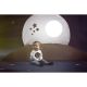 Βρεφικό παντελονάκι  Pinokio Collection Big Dream στο Bebe Maison